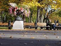     . 

:	chrysant.jpg 
:	411 
:	185.5  
ID:	18936