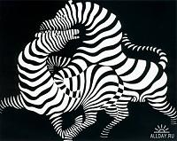     . 

:	1223323920_zebry.jpg 
:	826 
:	39.5  
ID:	25128