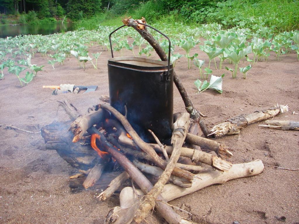 �������� - ����� ���...