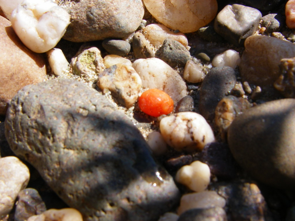 ��������� ��������