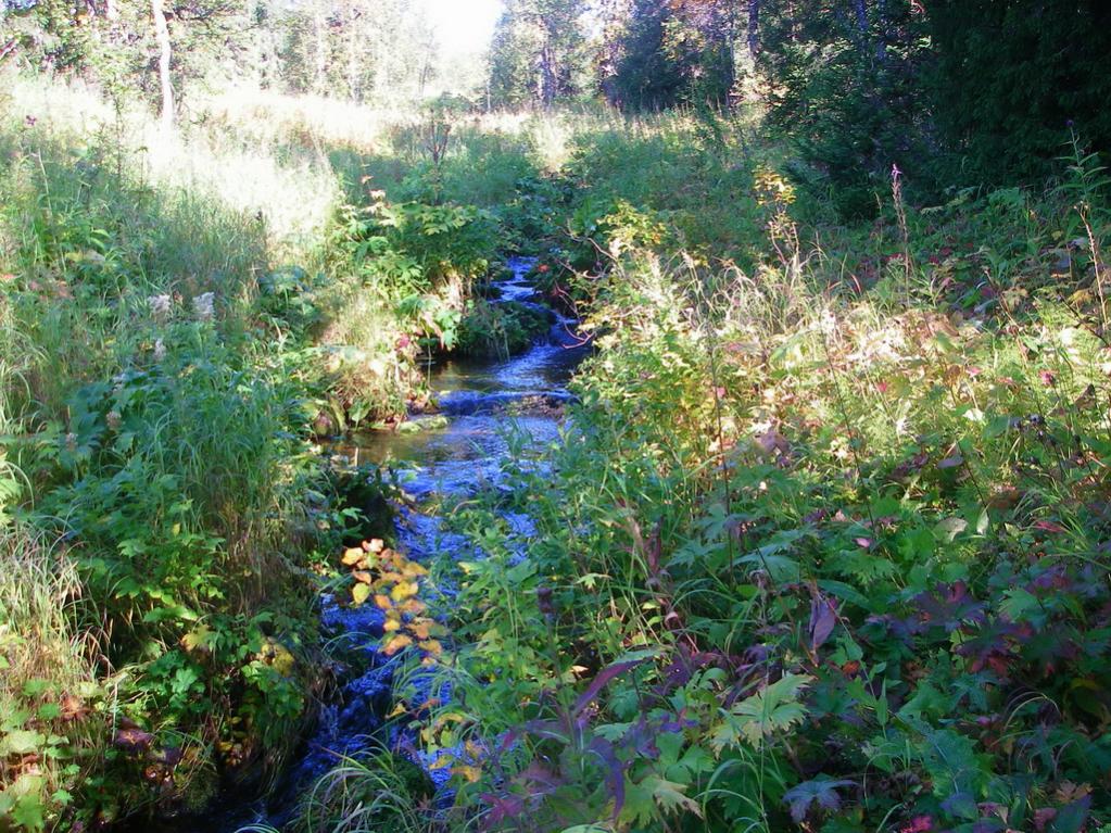 ��� ���������� ����.