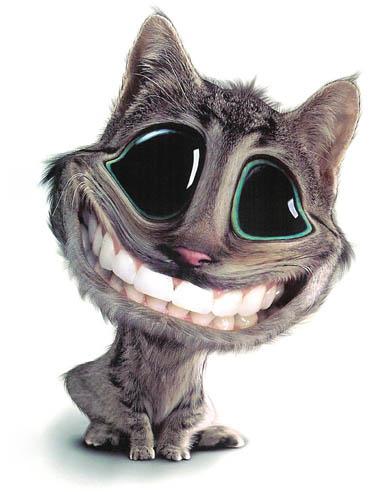 kat smile
