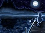 20040816 avana wallpapers ru kot i luna 1024x768 A(63279)