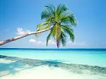 island 003