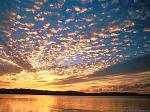 Sky 29