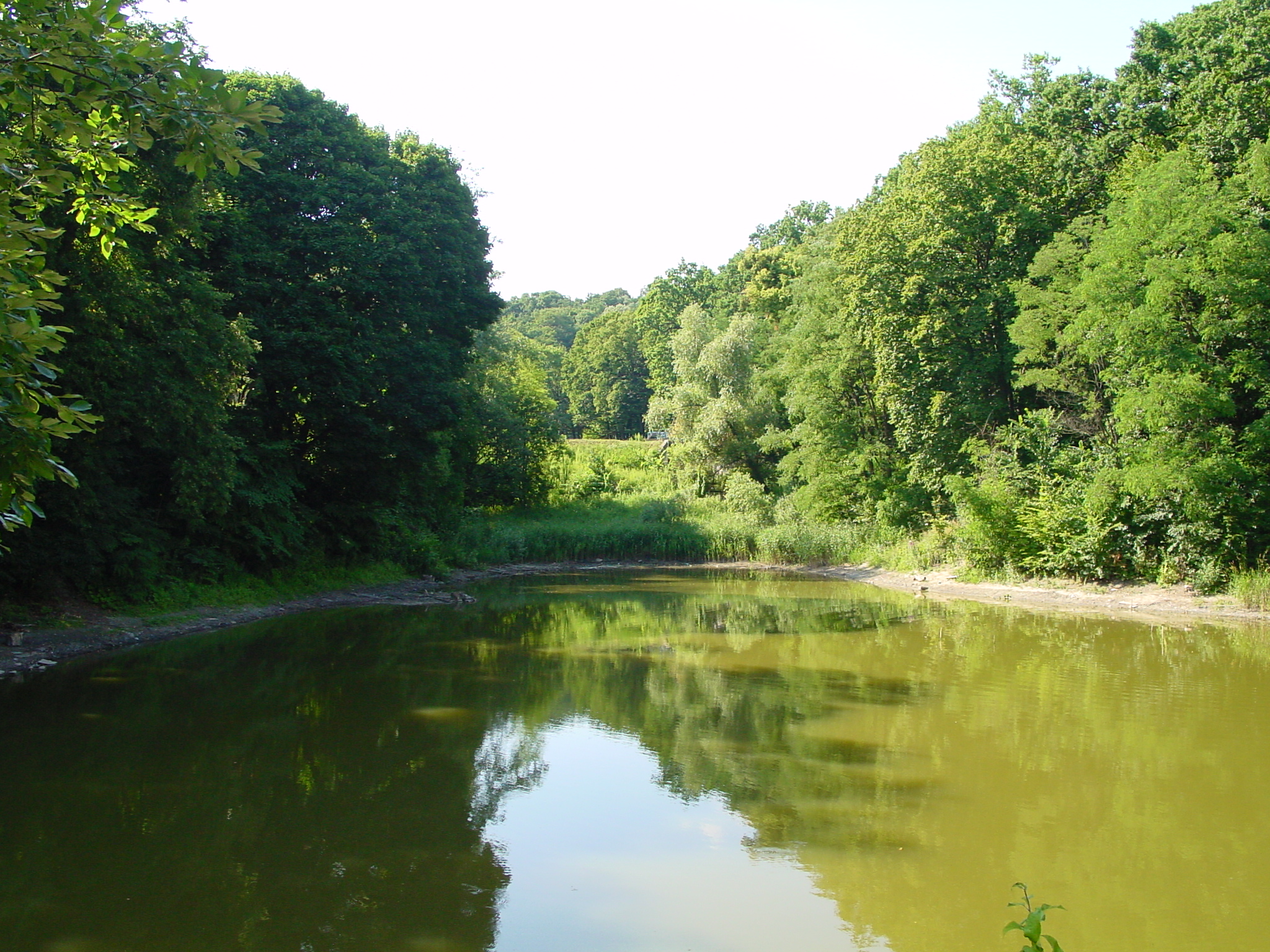 DSC00034