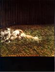 Two Figures in the Grass /     (1954)