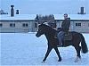     . 

:	IMG_2439..jpg 
:	584 
:	148.5  
ID:	38101