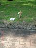    . 

:	GEDC1072.jpg 
:	1638 
:	163.3  
ID:	52669