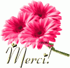     . 

:	merci.gif 
:	360 
:	59.5  
ID:	57371
