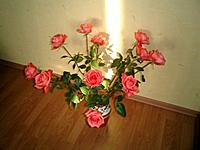     . 

:	 .JPG 
:	464 
:	50.2  
ID:	6833