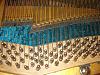     . 

:	DSC09946re.JPG 
:	1483 
:	675.1  
ID:	78404