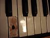     . 

:	DSC09963re.JPG 
:	1643 
:	370.3  
ID:	78413