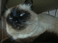 ������� �� ����������� ��� ����������.&nbsp;

��������:	casa 047.jpg&nbsp;
����������:	612&nbsp;
������:	201.3 ��&nbsp;
ID:	8285