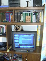 ������� �� ����������� ��� ����������.&nbsp;

��������:	casa 045.jpg&nbsp;
����������:	566&nbsp;
������:	206.2 ��&nbsp;
ID:	8286