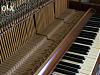     . 

:	162528005_7_644x461_srochno-prodam-fortepiano-august-foerster-_rev001.jpg 
:	721 
:	38.2  
ID:	90420