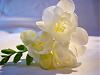     . 

:	d1cbbb7b4336.jpg 
:	711 
:	33.5  
ID:	90889
