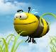   bumble-bee