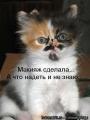   belle_tatiana