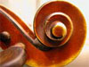   Violinist